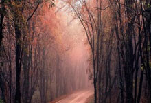 大连英博新赛季主场首战下周一开票,票价60-300元分为6档.