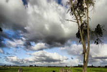 国羽男单的希望,18岁的刘洋名宇又夺冠了,本月已连拿3冠.