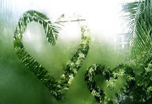 吴艳妮60米栏破全国纪录 遗憾无缘决赛.