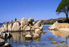 红军“拔刺”当英超圣诞冠军 主帅斯洛特吁球员不可松懈.